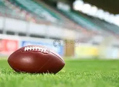 开云体育下载-橄榄球夜战：塞外灰熊队大胜漓江貔貅队，临门一脚致胜赛后更衣室沸腾